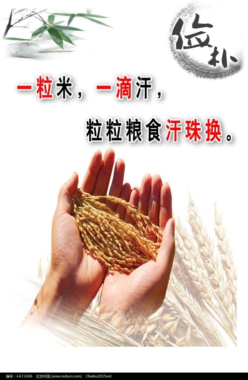 不动产登记证和房产证哪个先办